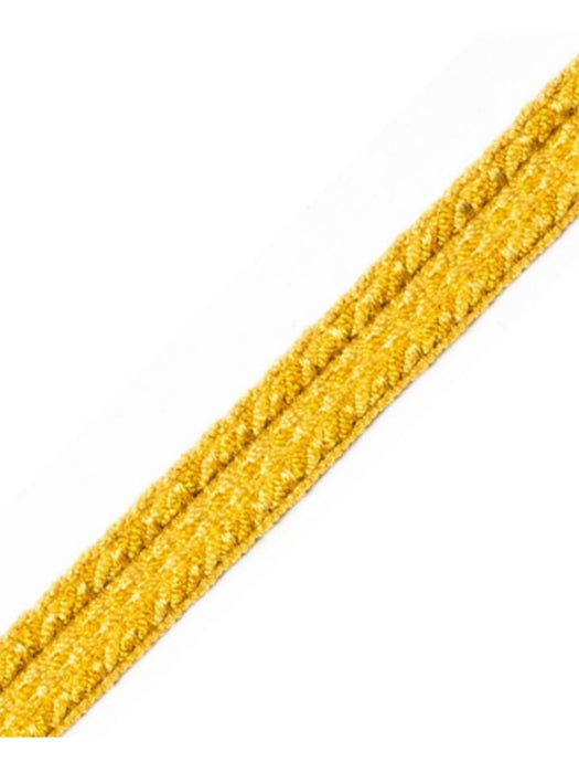 Scalamandre Galon Chainette Tape B Or Trim PL53110030