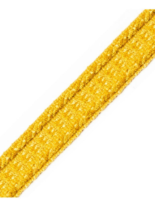 Scalamandre Galon Chainette Tape A Or Trim Sample PL53210030