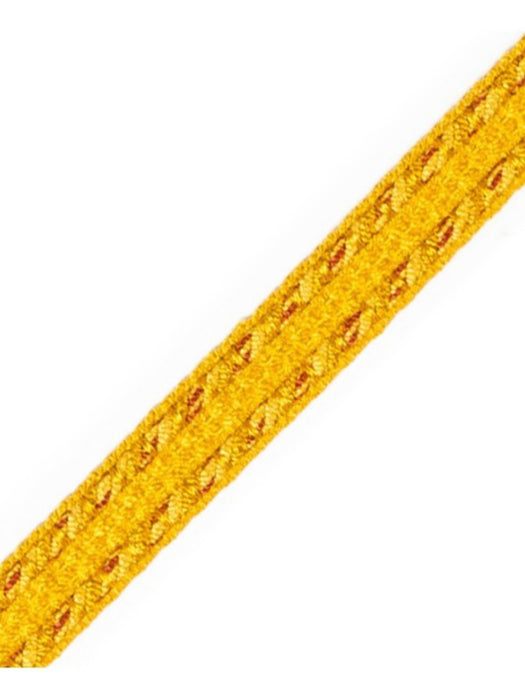 Scalamandre Galon Chainette Tape B Liege Trim Sample PL53110032
