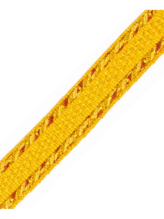 Scalamandre Galon Chainette Tape A Liege Trim Sample PL53210032