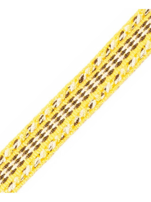 Scalamandre Galon Chainette Tape A Mimosa Trim PL53210036