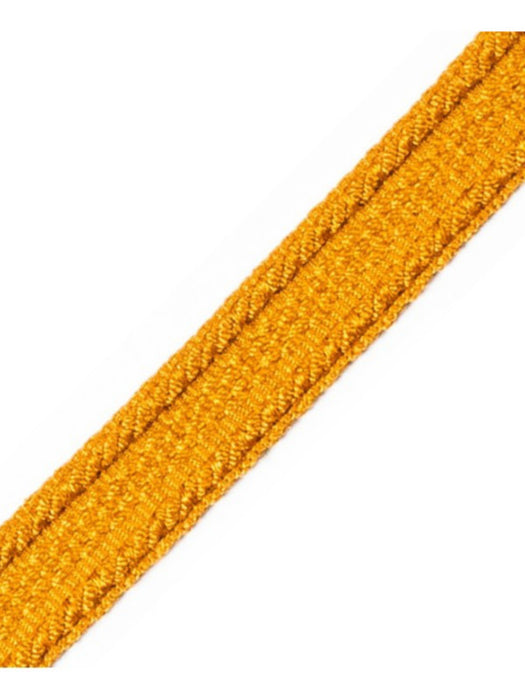 Scalamandre Galon Chainette Tape A Orange Trim PL53210039