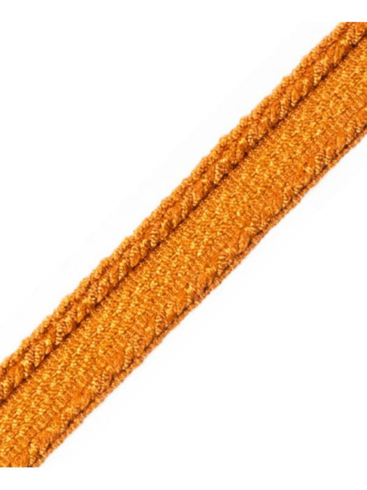 Scalamandre Galon Chainette Tape A Rouille Trim Sample PL53210040