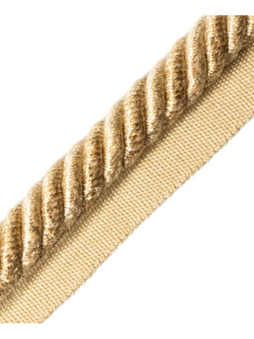 Scalamandre Frange Torse Cable With Tape A Gazelle Trim PL69590054