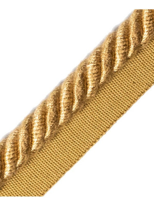 Scalamandre Frange Torse Cable With Tape A Chaume Trim Sample PL69590055