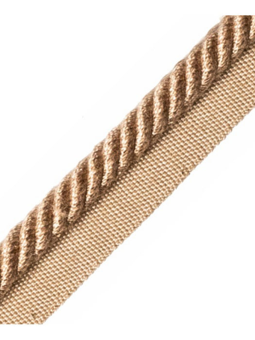 Scalamandre Frange Torse Cable With Tape B Daim Trim Sample PL69640056