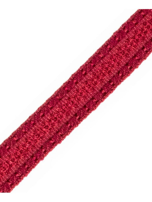Scalamandre Galon Chainette Tape A Framboise Trim Sample PL53210061