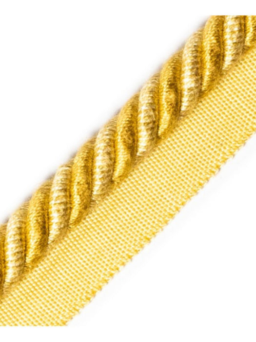Scalamandre Frange Torse Cable With Tape A Soleil Trim PL69590061