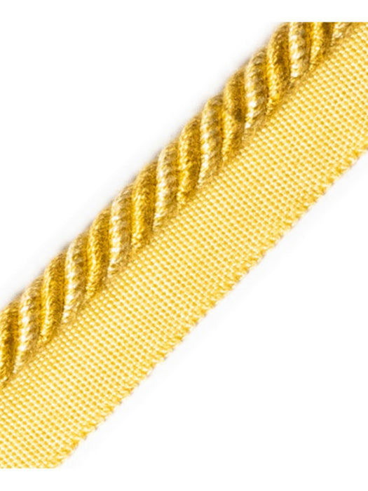 Scalamandre Frange Torse Cable With Tape B Soleil Trim PL69640061