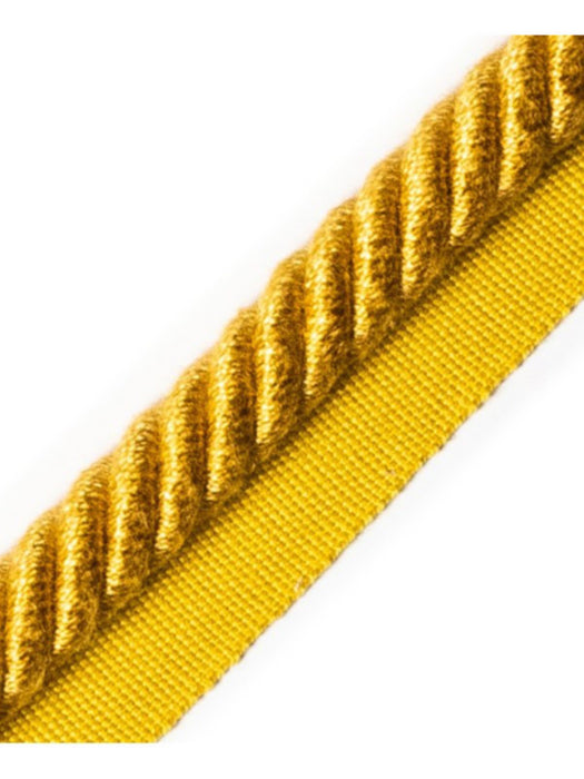 Scalamandre Frange Torse Cable With Tape A Or Trim PL69590062