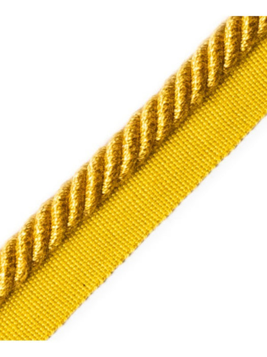 Scalamandre Frange Torse Cable With Tape B Or Trim Sample PL69640062