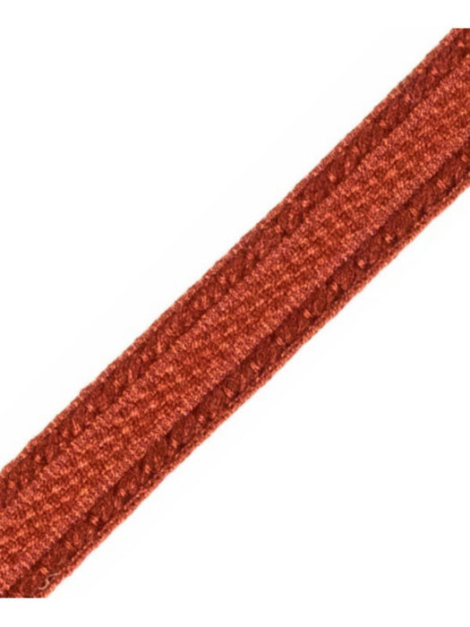 Scalamandre Galon Chainette Tape A Anemone Trim Sample PL53210063
