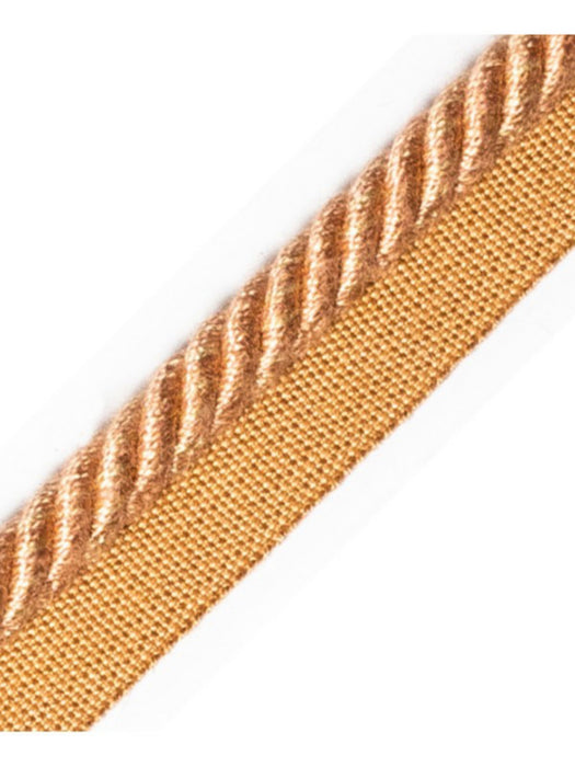 Scalamandre Frange Torse Cable With Tape B Vieux Rose Trim Sample PL69640063