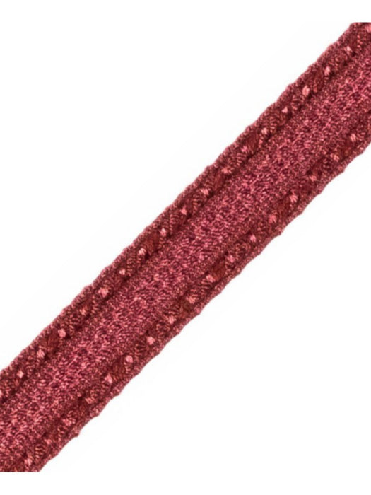 Scalamandre Galon Chainette Tape A Bourgogne Trim Sample PL53210065