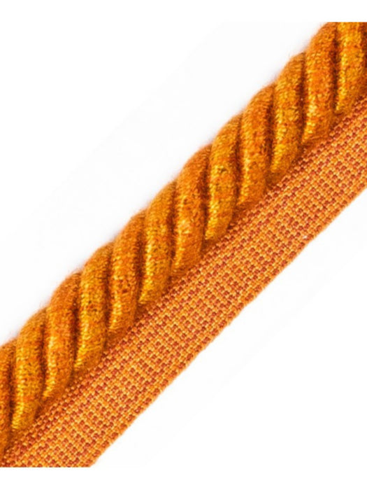 Scalamandre Frange Torse Cable With Tape A Rouille Trim PL69590065