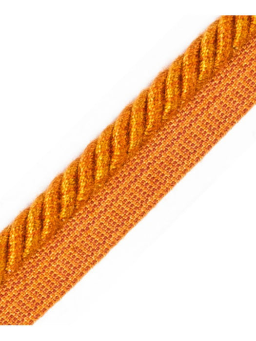 Scalamandre Frange Torse Cable With Tape B Rouille Trim PL69640065