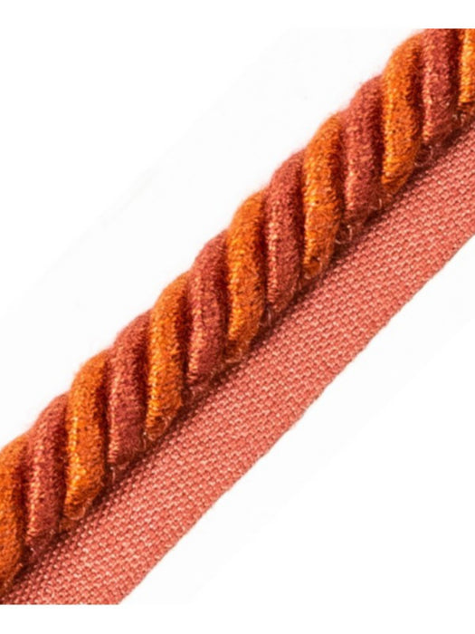 Scalamandre Frange Torse Cable With Tape A Tuile Trim PL69590066