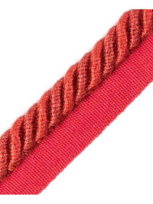 Scalamandre Frange Torse Cable With Tape A Feu Trim Sample PL69590069