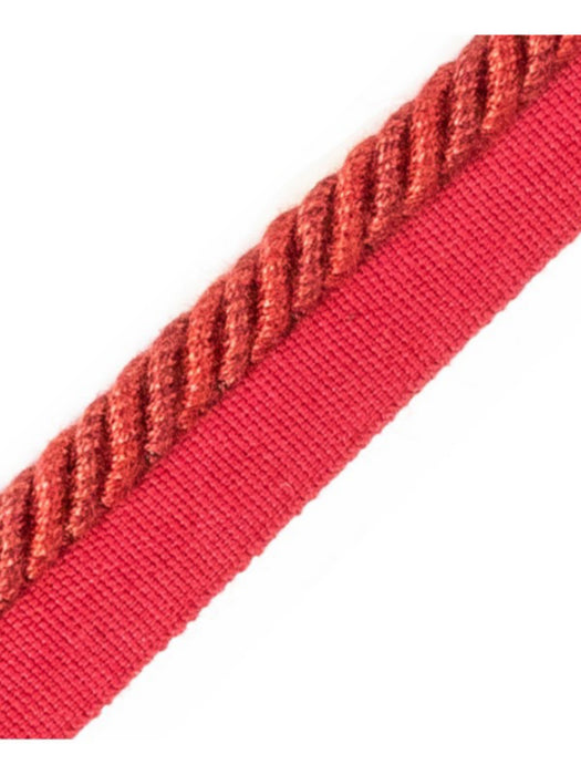 Scalamandre Frange Torse Cable With Tape B Feu Trim PL69640069