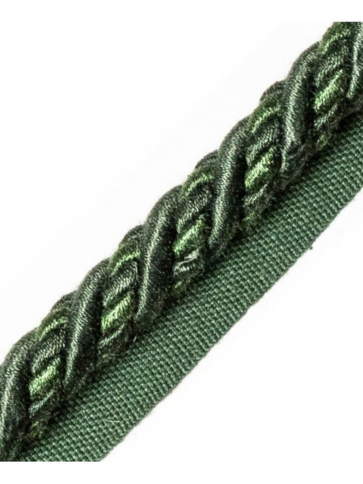 Scalamandre Harmonie Cord With Tape A Cypres Trim PL67590071