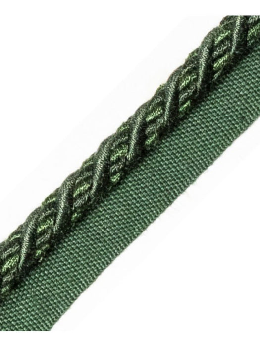 Scalamandre Harmonie Cord With Tape B Cypres Trim Sample PL67640071