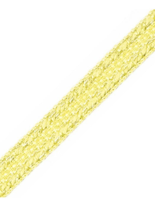 Scalamandre Galon Chainette Tape B Pistache Trim Sample PL53110076