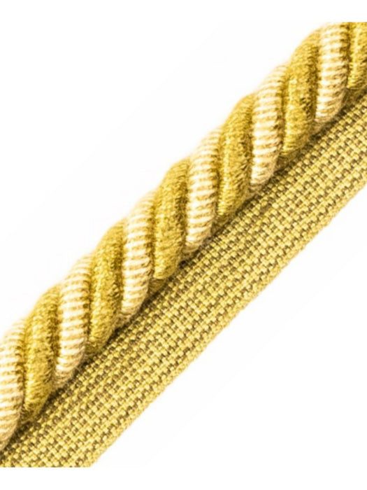 Scalamandre Frange Torse Cable With Tape A Fougere Trim PL69590076