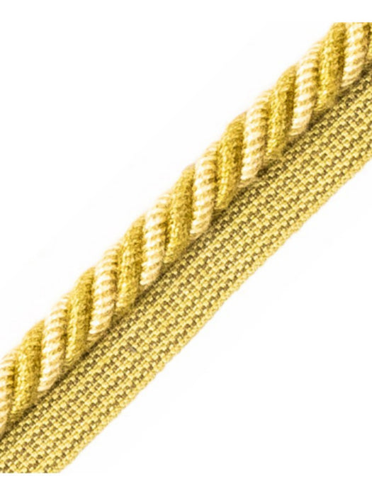 Scalamandre Frange Torse Cable With Tape B Fougere Trim PL69640076