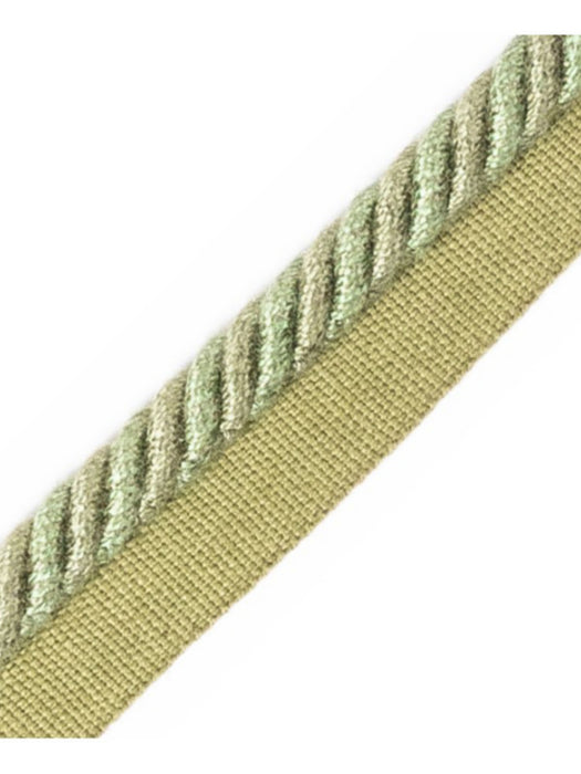 Scalamandre Frange Torse Cable With Tape B Mousse Trim Sample PL69640077
