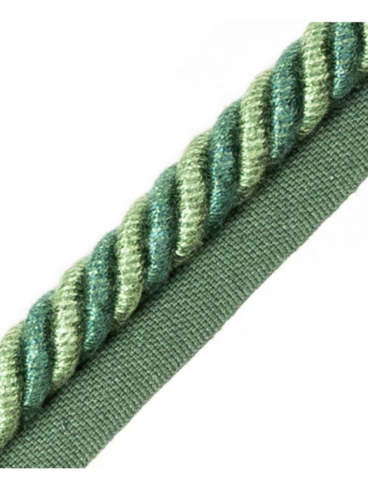 Scalamandre Frange Torse Cable With Tape A Sapin Trim Sample PL69590078