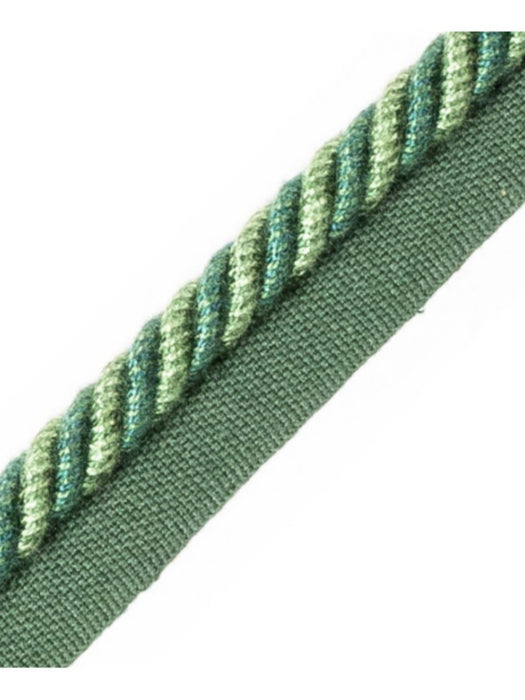 Scalamandre Frange Torse Cable With Tape B Sapin Trim Sample PL69640078