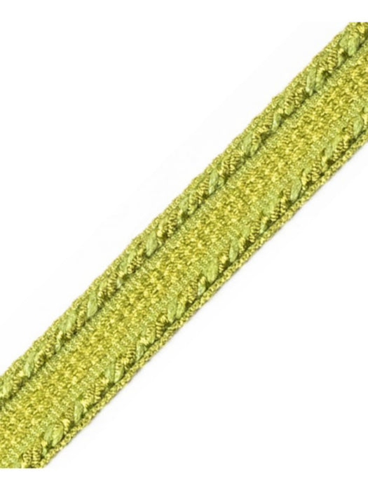 Scalamandre Galon Chainette Tape A Fougere Trim Sample PL53210079
