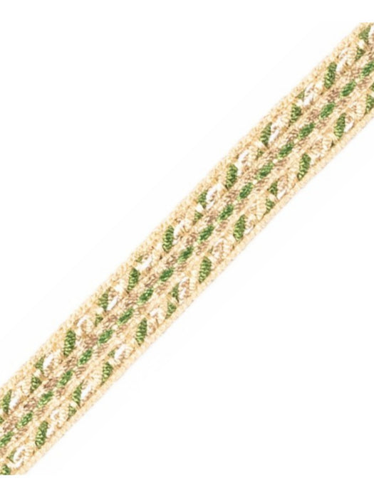 Scalamandre Galon Chainette Tape B Oasis Trim Sample PL53110106