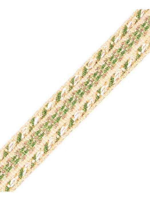 Scalamandre Galon Chainette Tape A Oasis Trim PL53210106