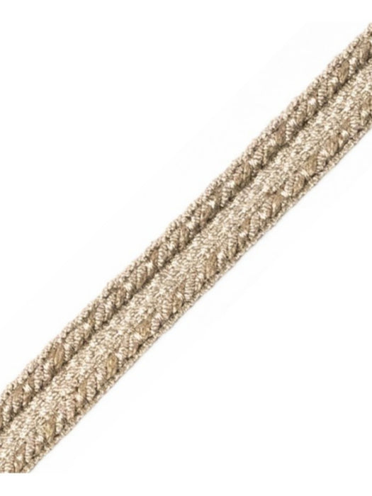 Scalamandre Galon Chainette Tape B Mercure Trim Sample PL53110110