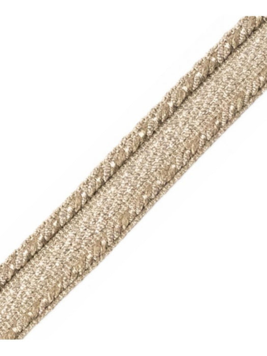 Scalamandre Galon Chainette Tape A Mercure Trim Sample PL53210110