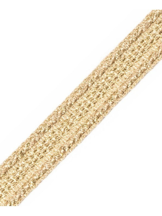 Scalamandre Galon Chainette Tape A Platine Trim Sample PL53210117