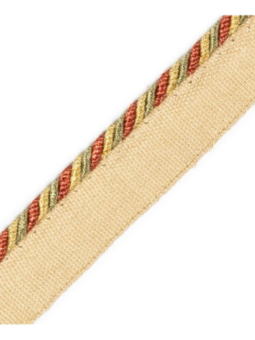 Scalamandre Cord With Tape Campanile Trim Sample PL64660201