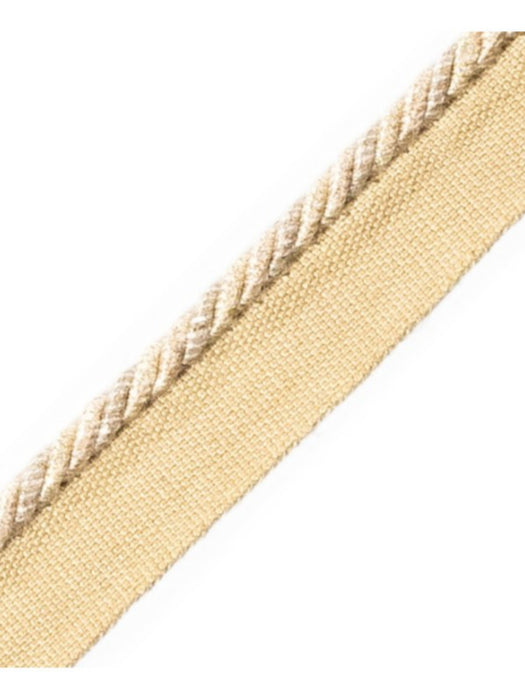 Scalamandre Cord With Tape Raphia Trim Sample PL64660213