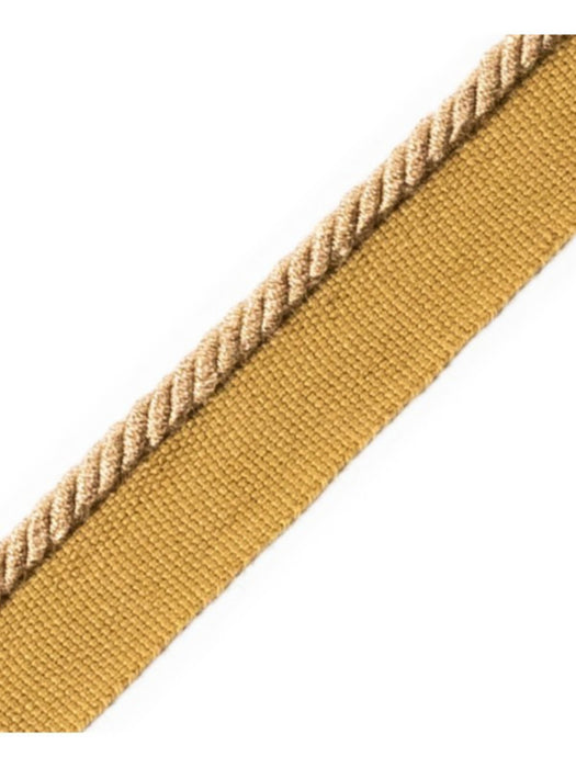 Scalamandre Cord With Tape Biche Trim Sample PL64660215