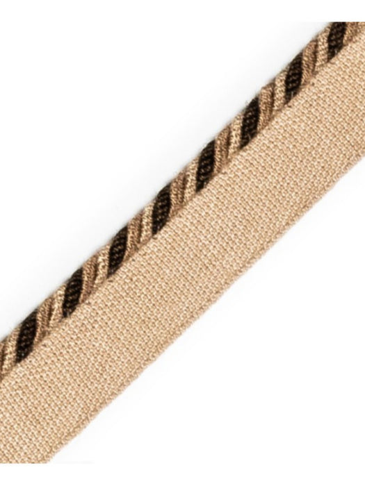 Scalamandre Cord With Tape Chaudron Trim Sample PL64660217