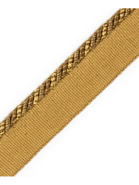 Scalamandre Cord With Tape Loutre Trim Sample PL64660218