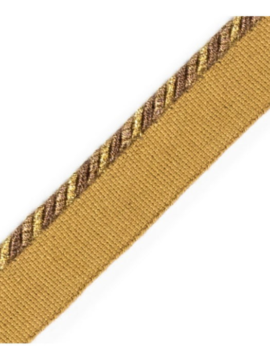 Scalamandre Cord With Tape Laiton Trim Sample PL64660219
