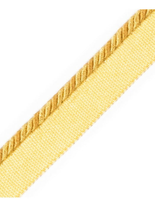 Scalamandre Cord With Tape Soleil Trim Sample PL64660223