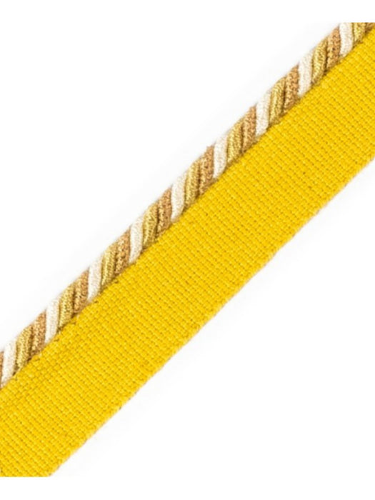 Scalamandre Cord With Tape Desert Trim Sample PL64660224