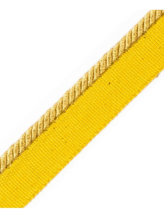 Scalamandre Cord With Tape Or Trim Sample PL64660225
