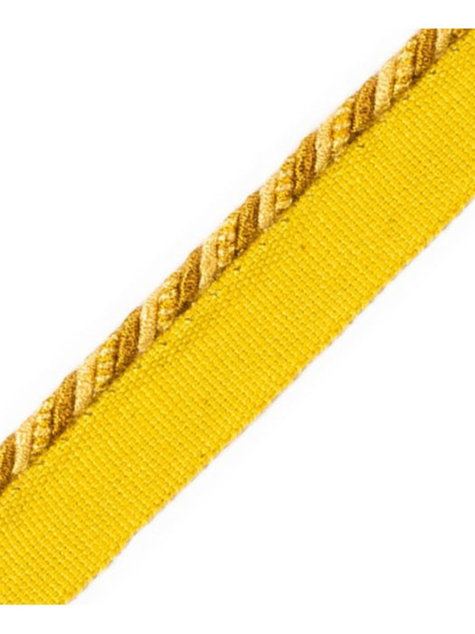 Scalamandre Cord With Tape Castor Trim Sample PL64660226