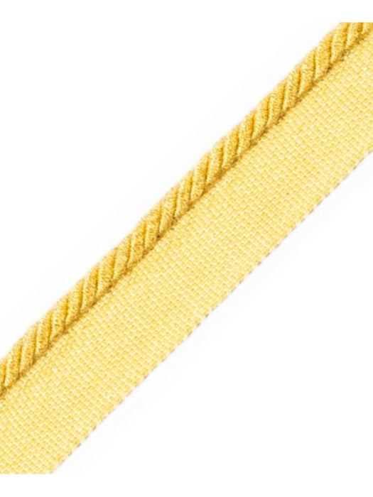Scalamandre Cord With Tape Mais Trim Sample PL64660227