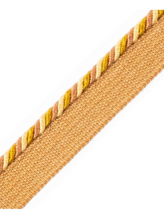 Scalamandre Cord With Tape Sienne Trim PL64660228