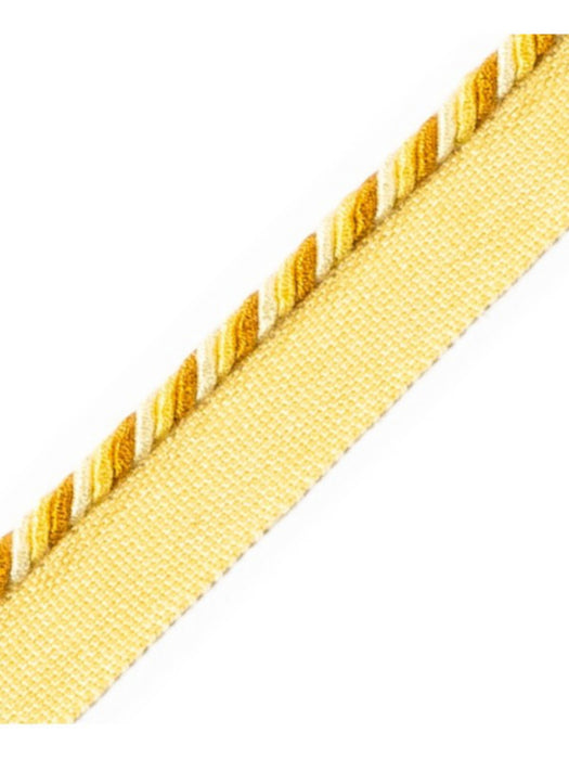 Scalamandre Cord With Tape Ananas Trim PL64660229